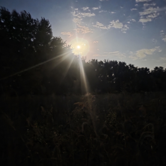 Christmas is coming fast, go ahead and make me an offer. - Picture 5 of 5